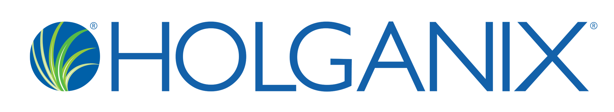 Holangix Logo Holangix Logo